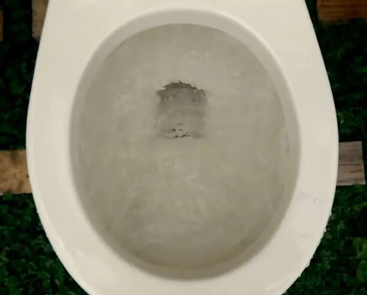 toilet flushes but poop stays