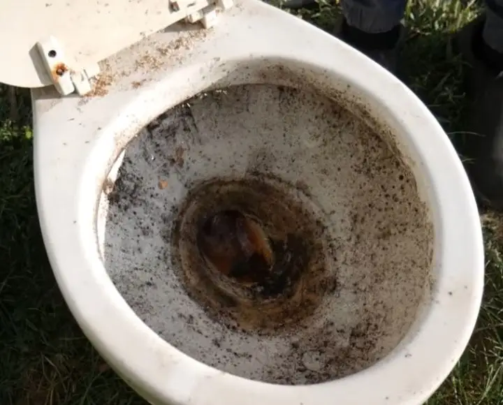 black sediment in toilet bowl