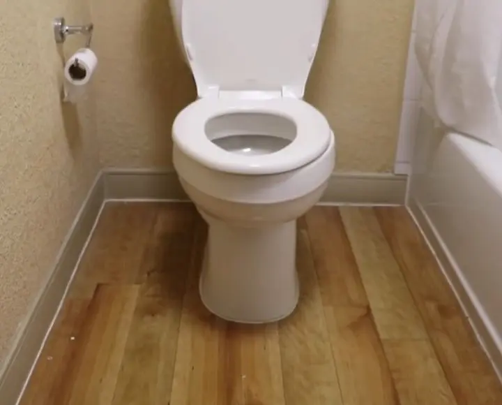 poop stains on toilet seat