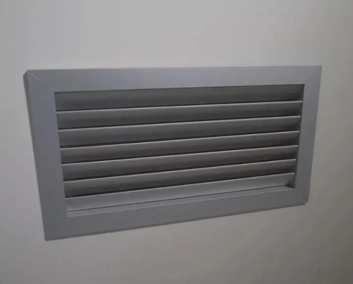 remove mold around bathroom fan