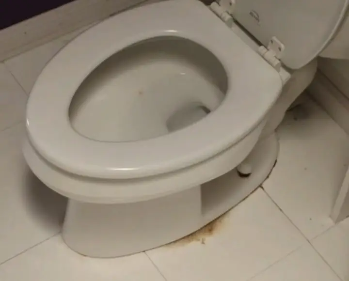 how to get urine out of grout around toilet