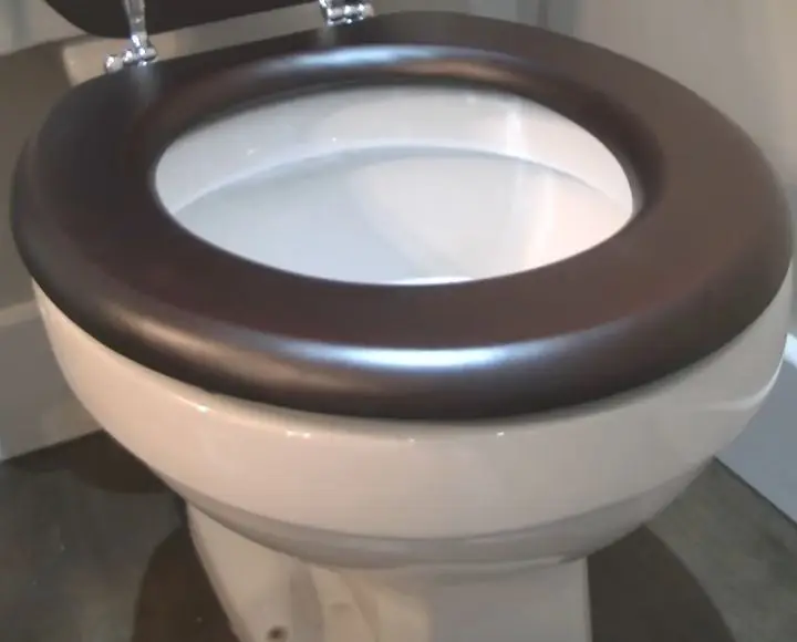 how to remove harpic stains from toilet seat