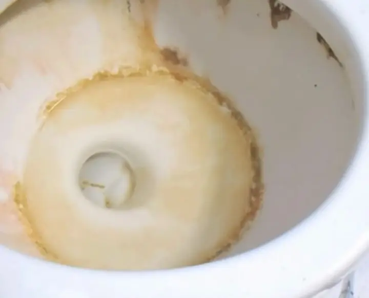 orange ring in toilet bowl
