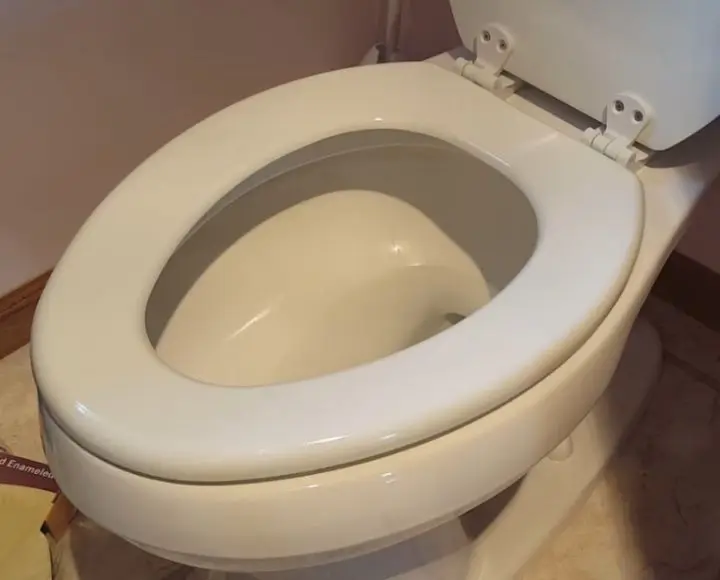 purple stains on toilet seat
