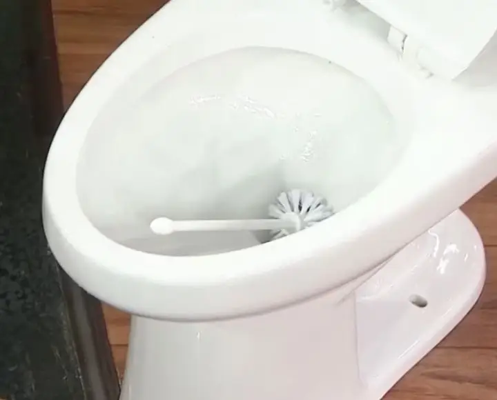 toilet brush head stuck in toilet