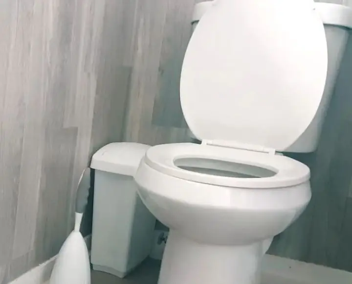 toilet seat too small