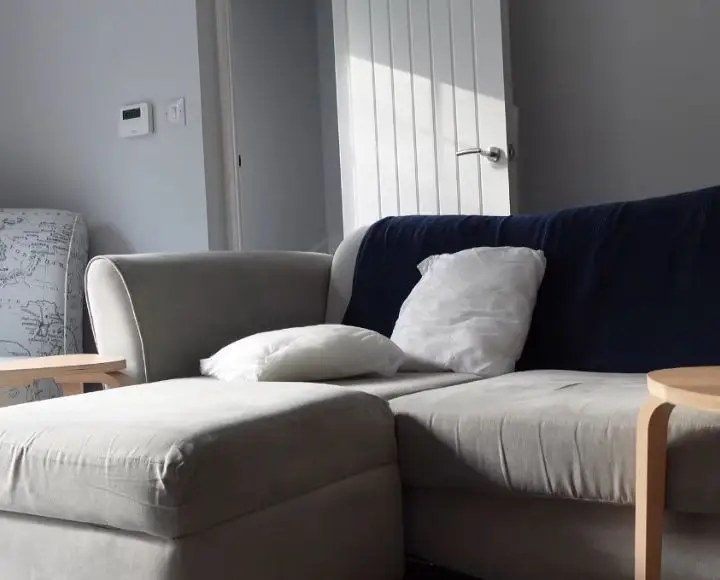 couch smells after steam cleaning