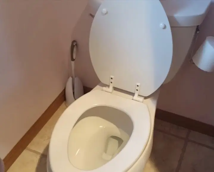 toilet seat wont stay up