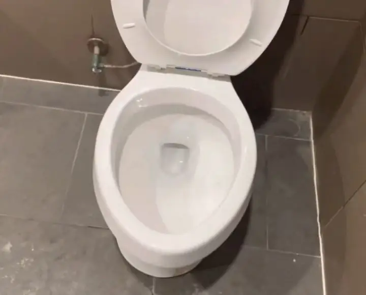 project source toilets